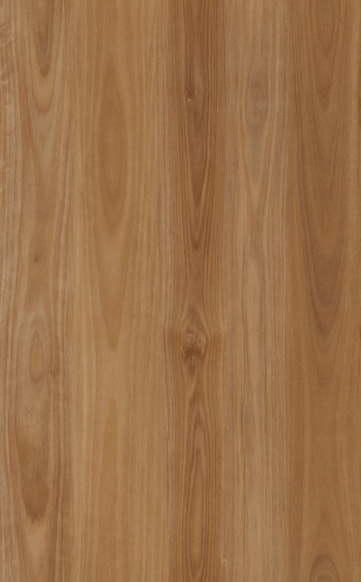 Tallowwood Hybrid Flooring