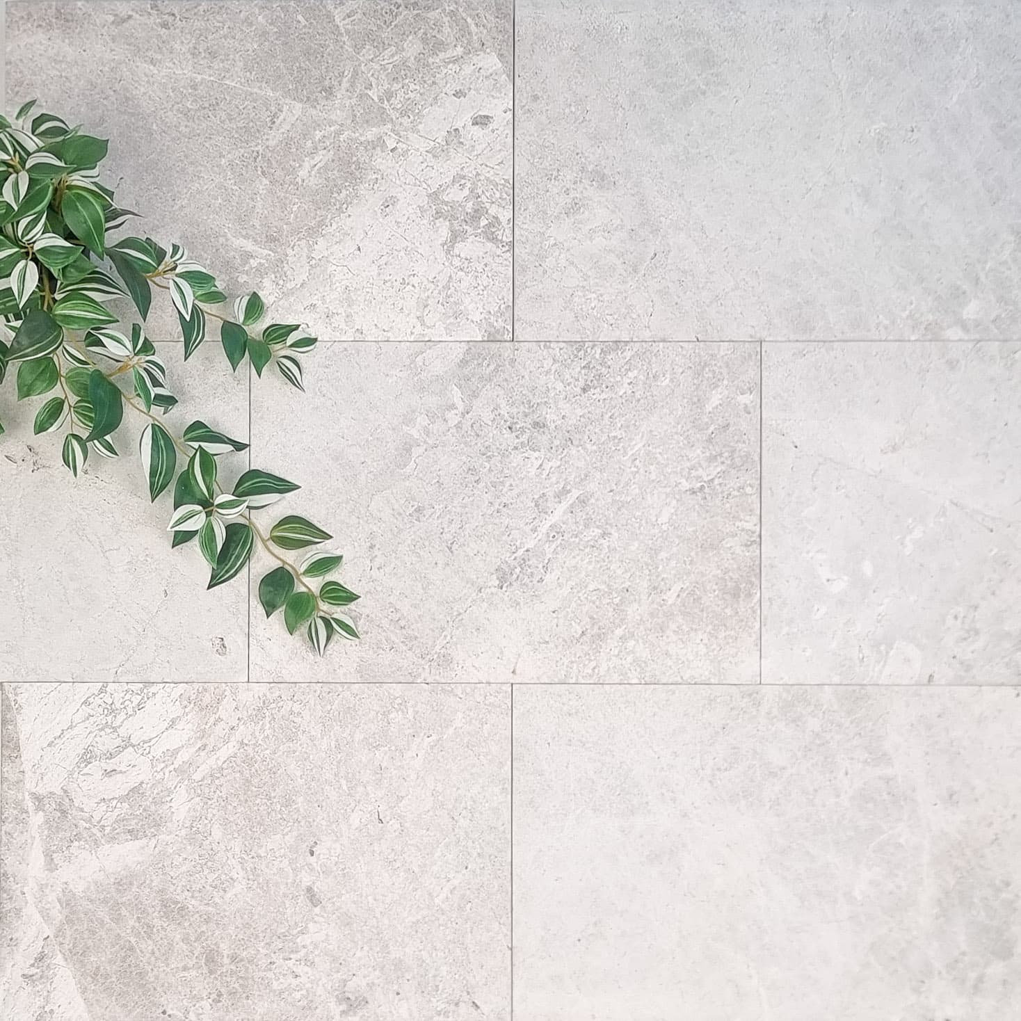 Outdoor Paver - Aria Limestone thumbnail 1