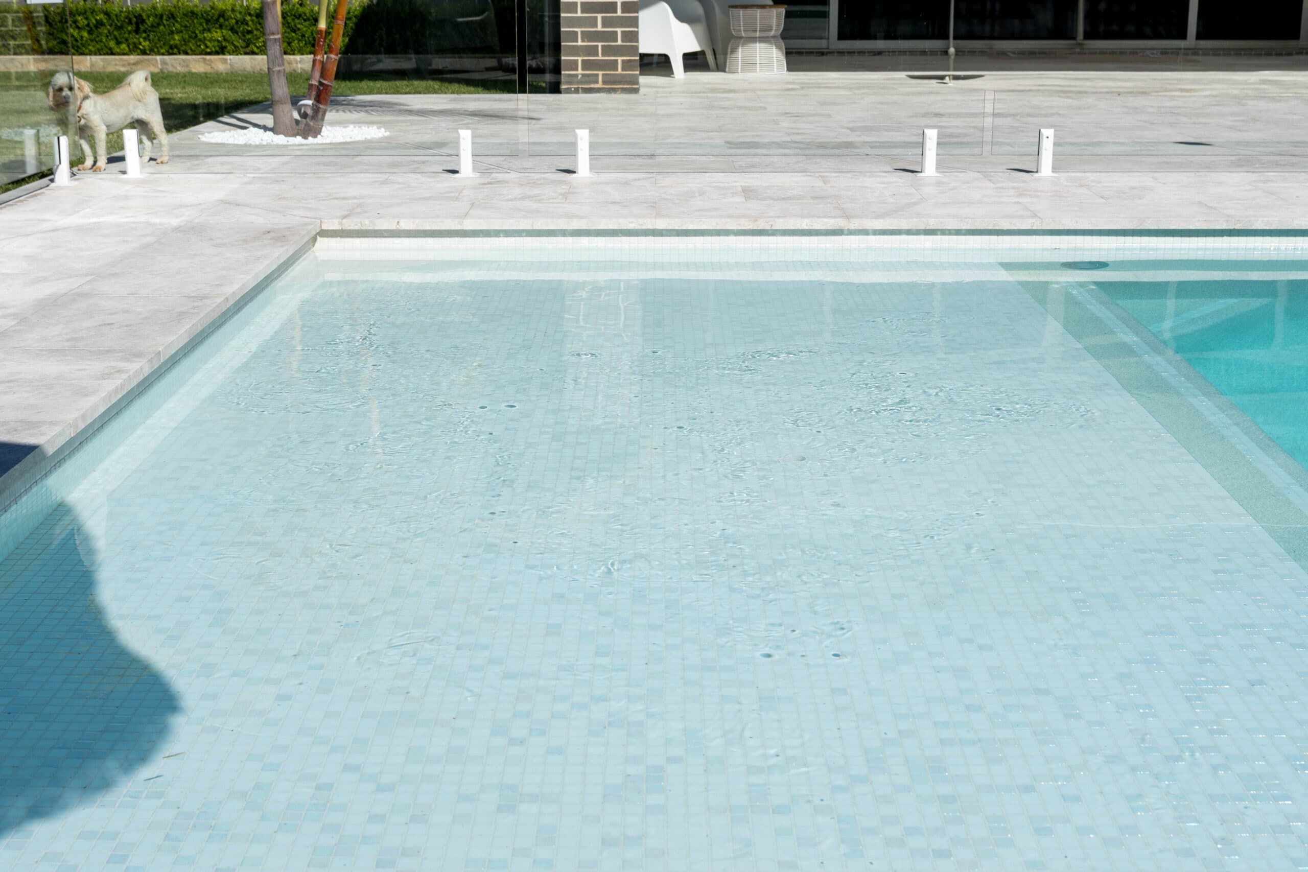 Pool Coping - Aria Limestone thumbnail 3