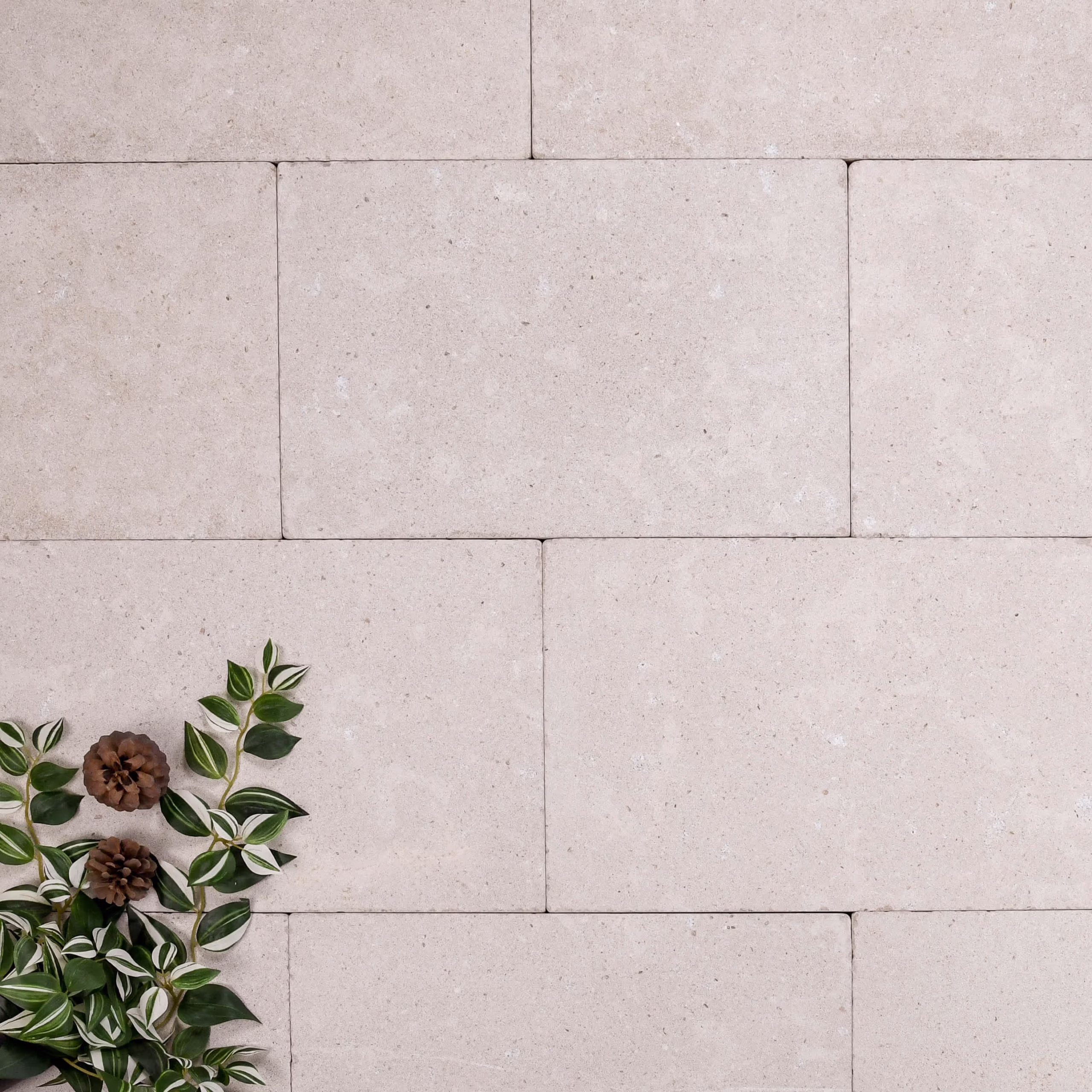 Outdoor Paver - Dijon Limestone thumbnail 1