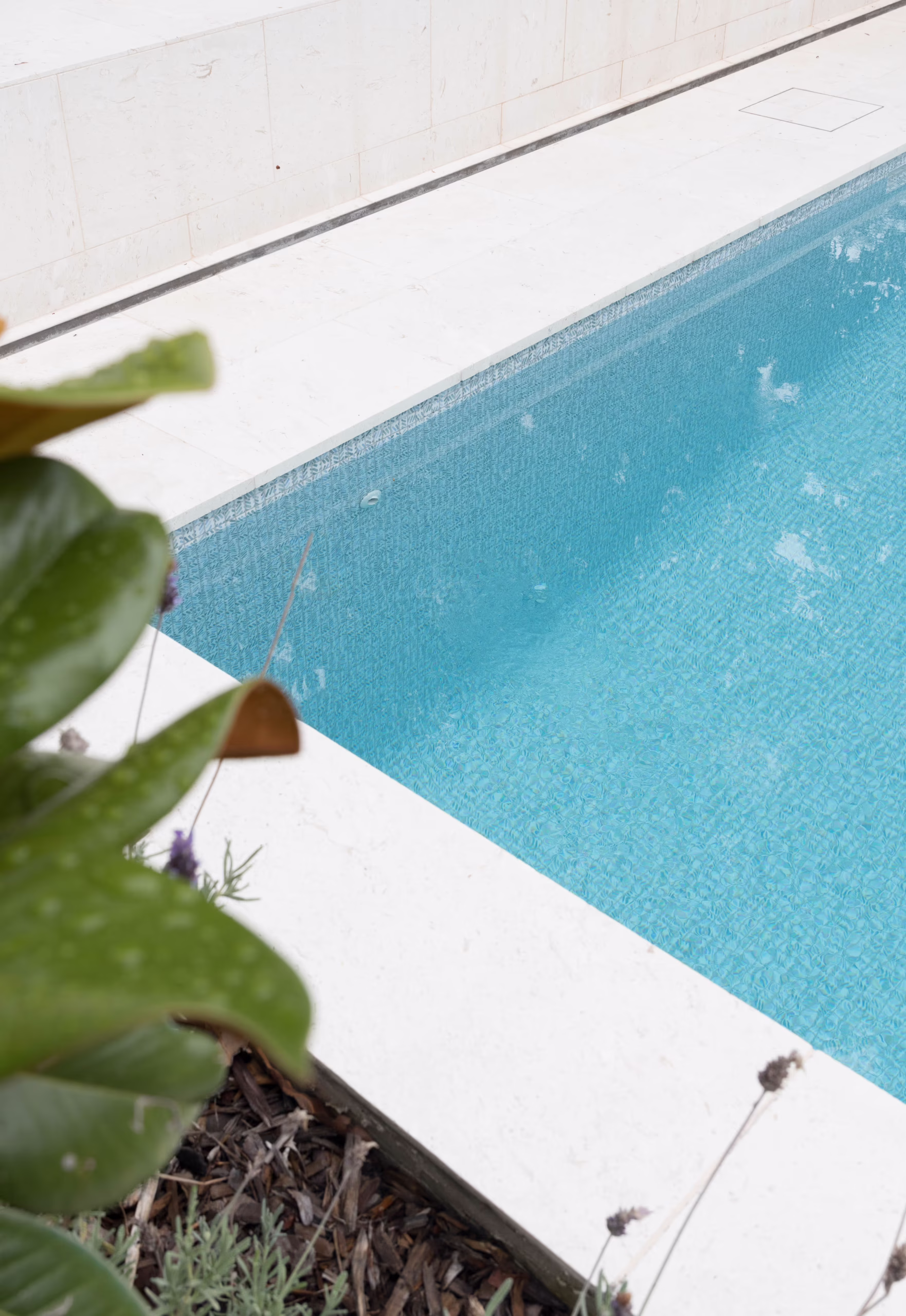 Outdoor Paver - Myra Limestone thumbnail 3