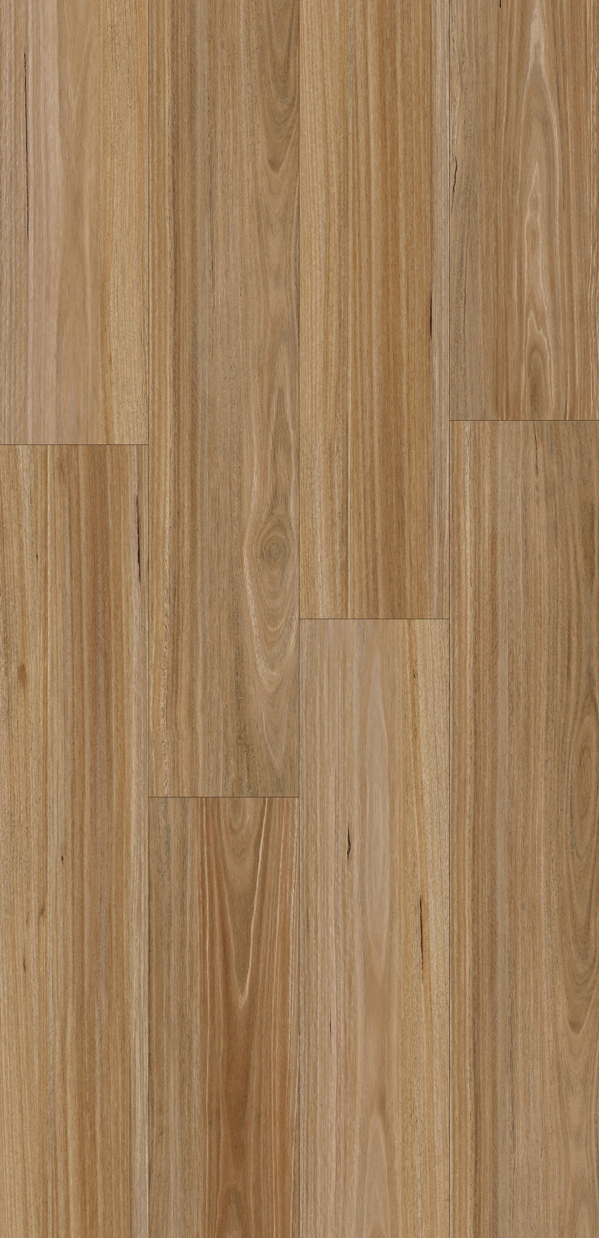 Blackbutt Hybrid Flooring