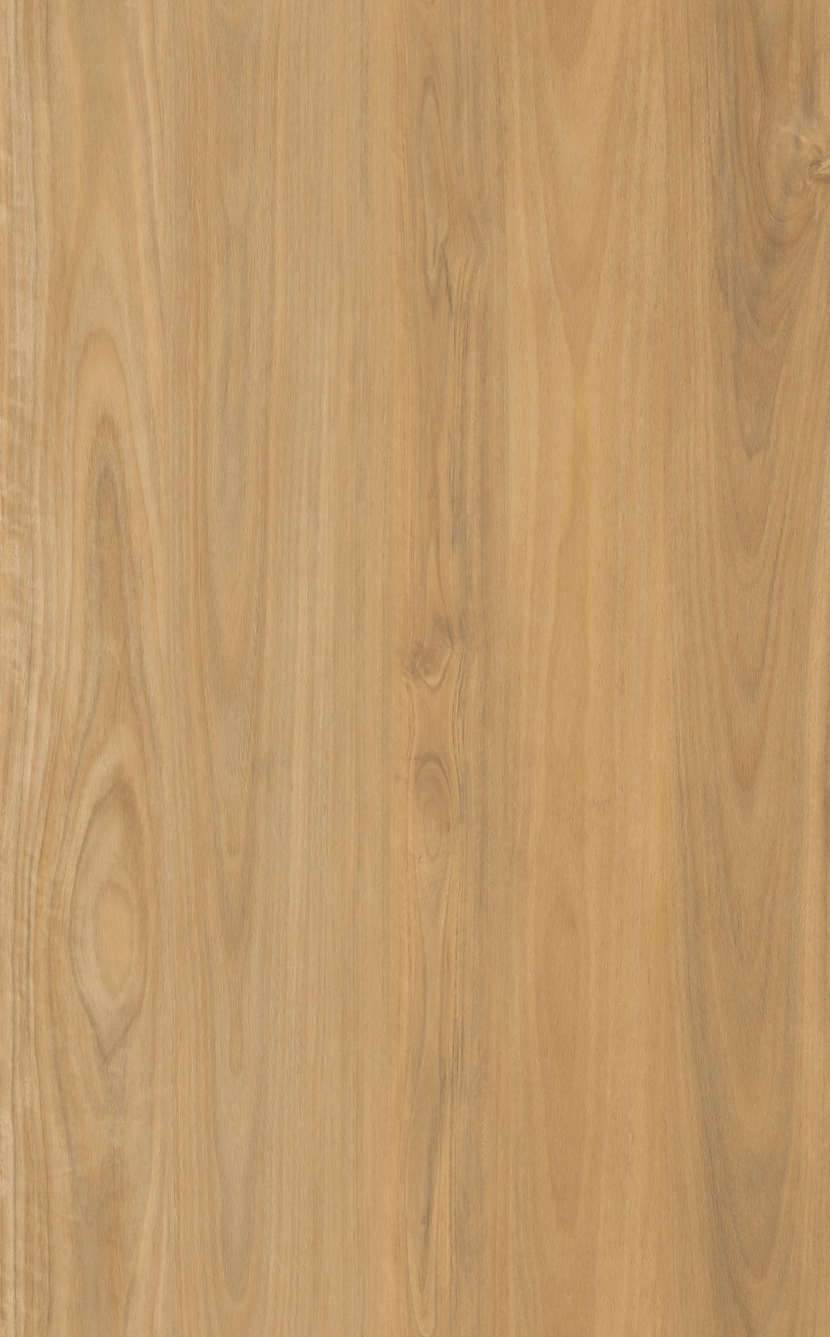 Harvest Oak Hybrid Flooring