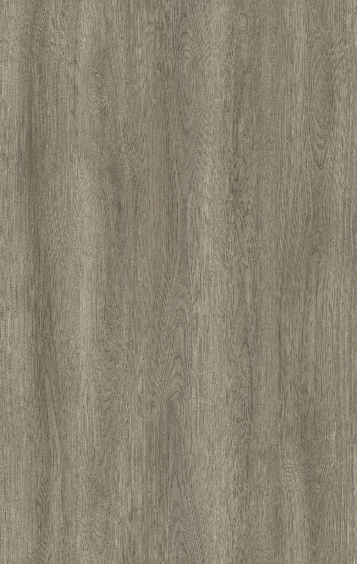 Golden Oak Hybrid Flooring