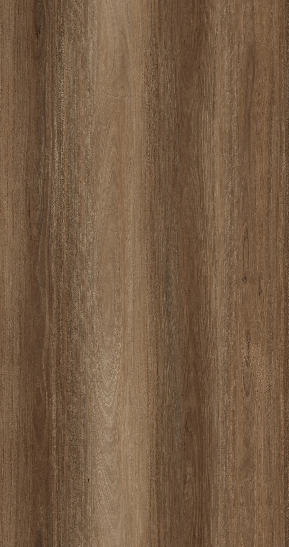 Spotted Gum Hybrid Flooring