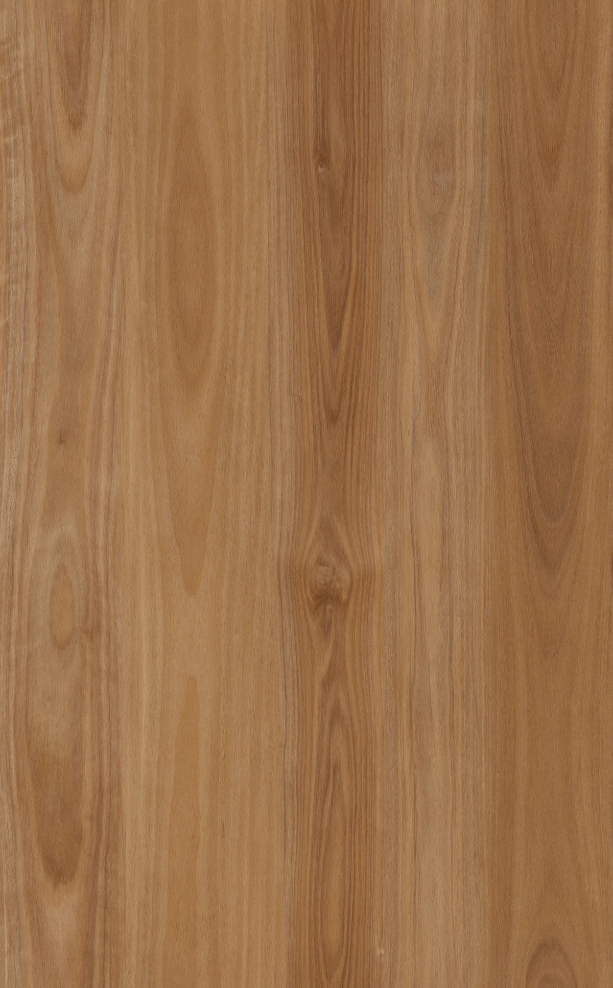 Tallowwood Hybrid Flooring