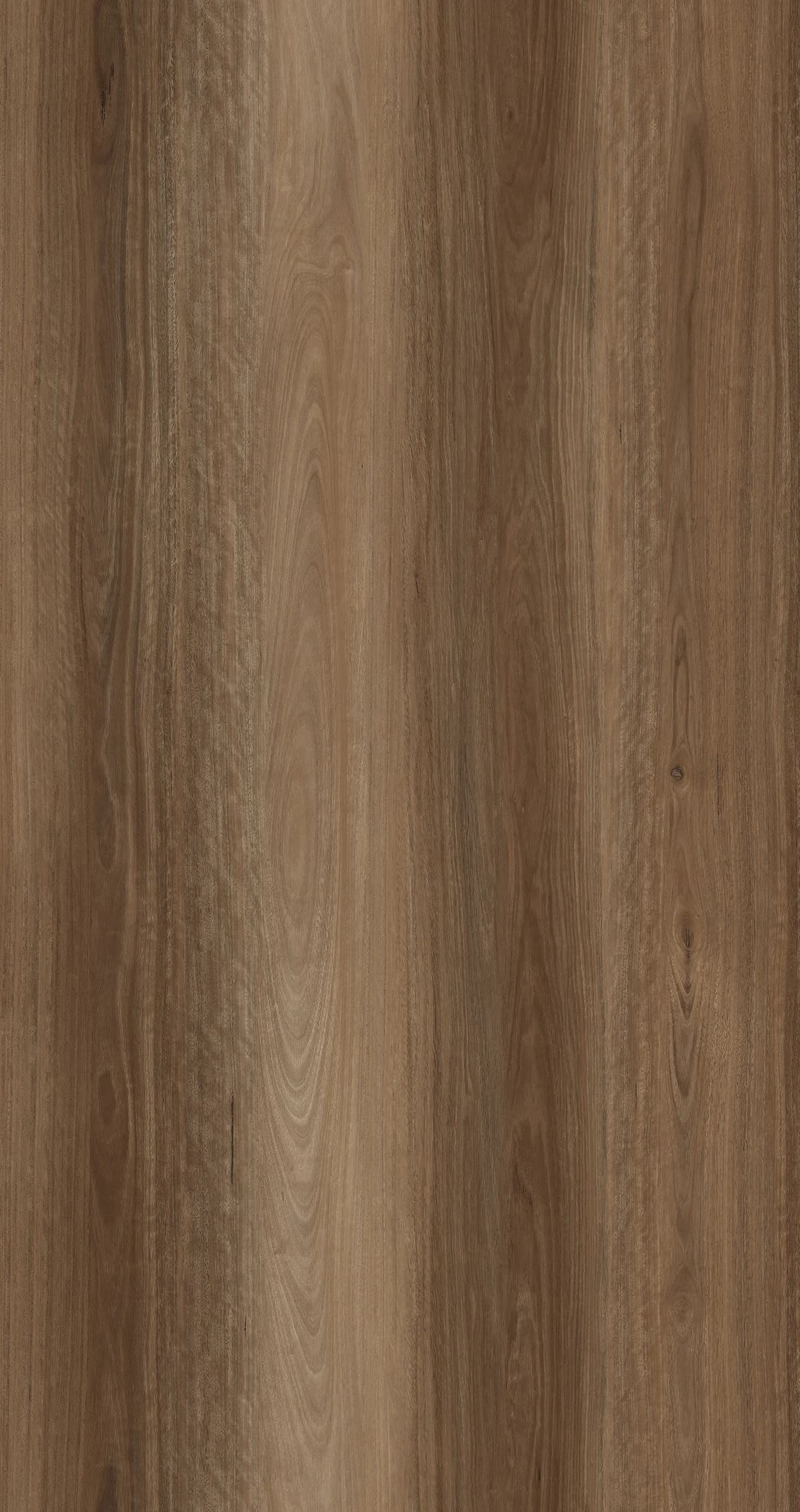 Spotted Gum Hybrid Flooring — view 1