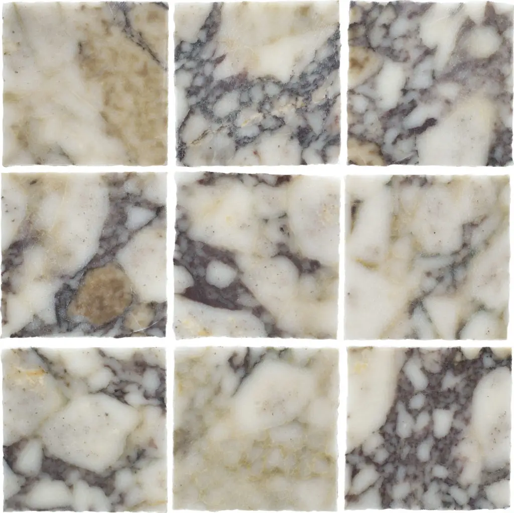 Elementa Calacatta Viola - 100x100mm Square Marble Tile — view 1