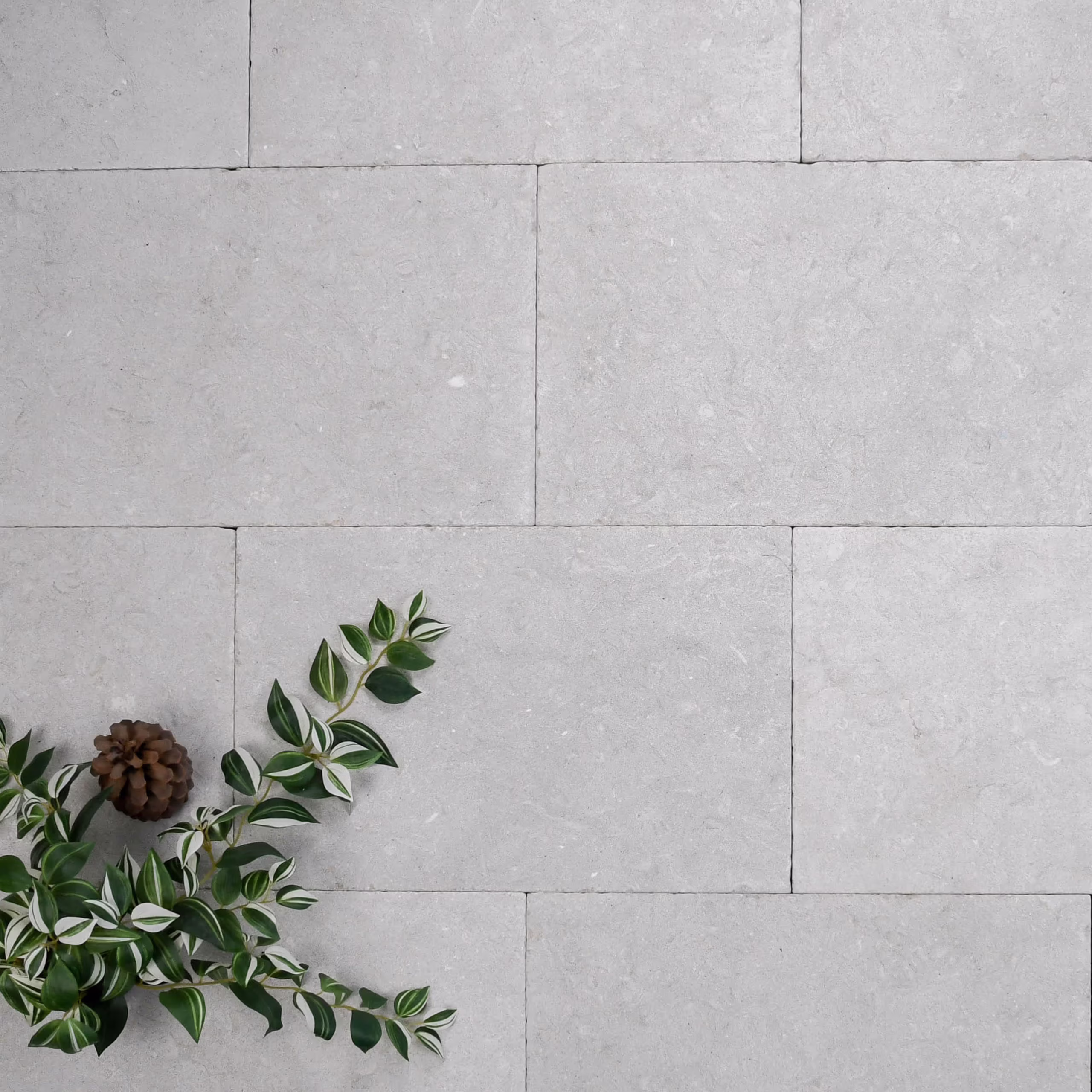 Outdoor Paver - Willow Limestone